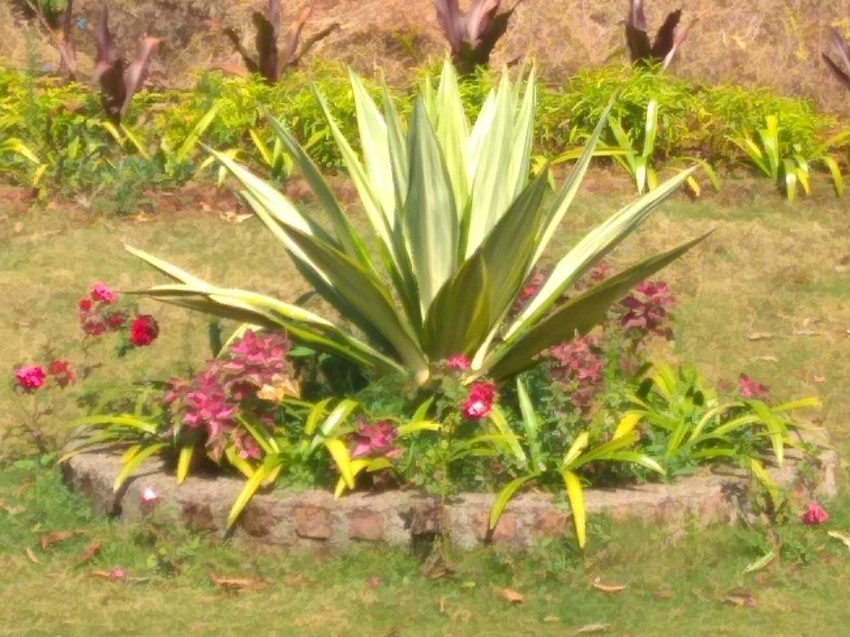Sadgurukrupa Villa Mahableshwar Mahabaleshwar Luaran gambar